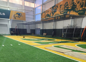 Motorized Batting Cages